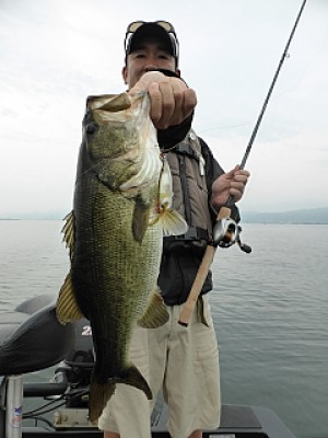 truth news ブログ写真 2013/06/26