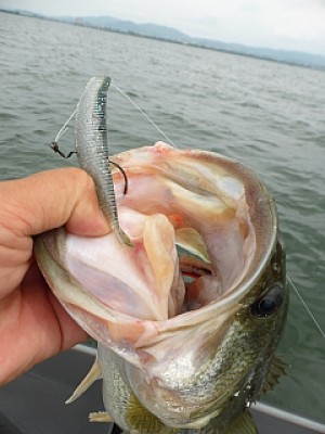 truth news ブログ写真 2013/06/26