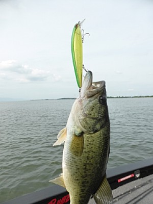 truth news ブログ写真 2013/06/26