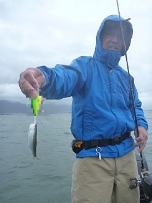 truth news ブログ写真 2013/06/27