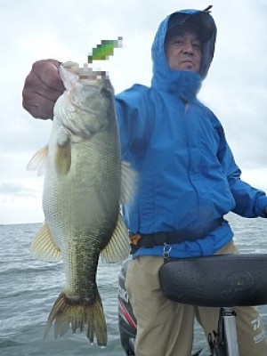 truth news ブログ写真 2013/06/27