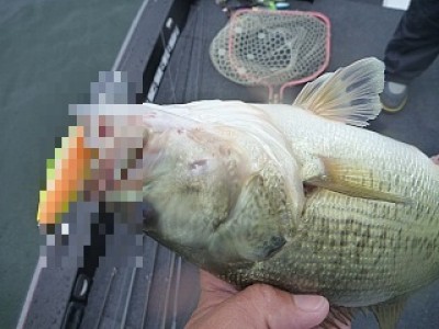 truth news ブログ写真 2013/06/27