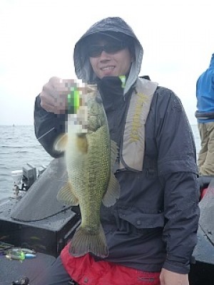 truth news ブログ写真 2013/06/27