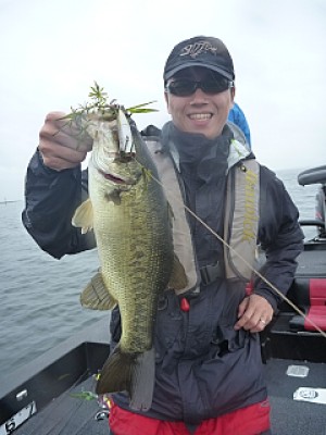 truth news ブログ写真 2013/06/27