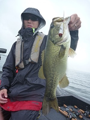 truth news ブログ写真 2013/06/27