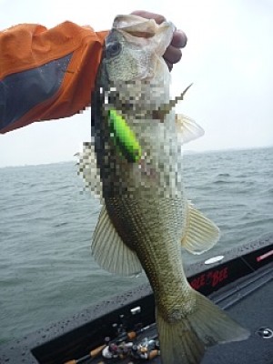 truth news ブログ写真 2013/06/27