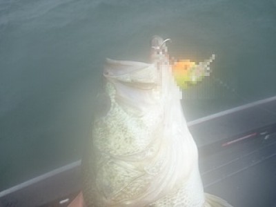 truth news ブログ写真 2013/06/27