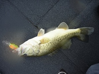 truth news ブログ写真 2013/06/27