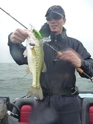 truth news ブログ写真 2013/06/27