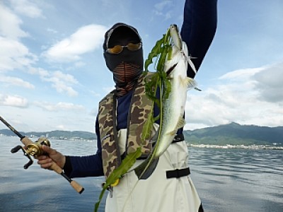 truth news ブログ写真 2013/06/28