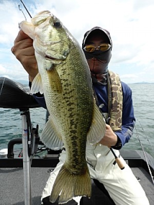 truth news ブログ写真 2013/06/28