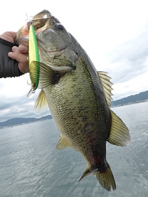 truth news ブログ写真 2013/06/28