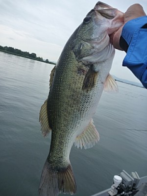 truth news ブログ写真 2013/07/04