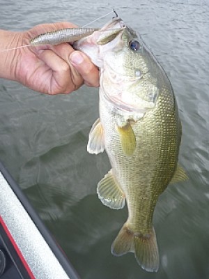 truth news ブログ写真 2013/07/04