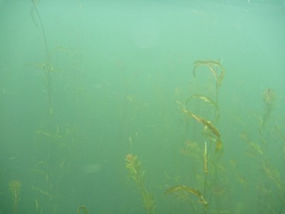 truth news ブログ写真 2013/07/04