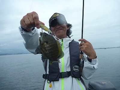 truth news ブログ写真 2013/07/04