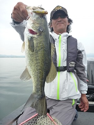 truth news ブログ写真 2013/07/04