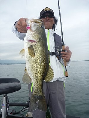 truth news ブログ写真 2013/07/04