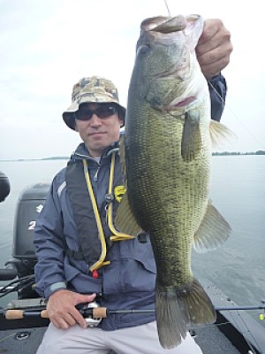 truth news ブログ写真 2013/07/06