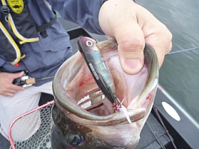 truth news ブログ写真 2013/07/06