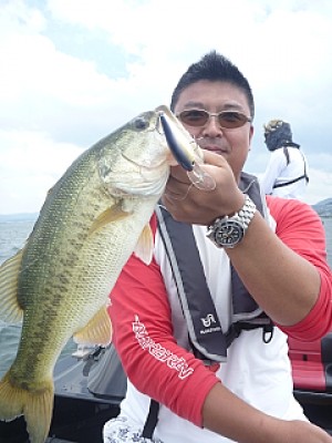 truth news ブログ写真 2013/07/06