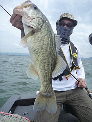 truth news ブログ写真 2013/07/06