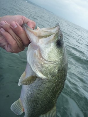 truth news ブログ写真 2013/07/06