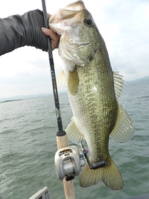 truth news ブログ写真 2013/07/07