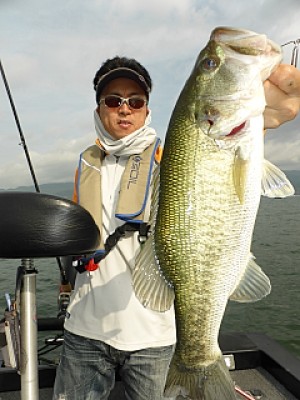 truth news ブログ写真 2013/07/07