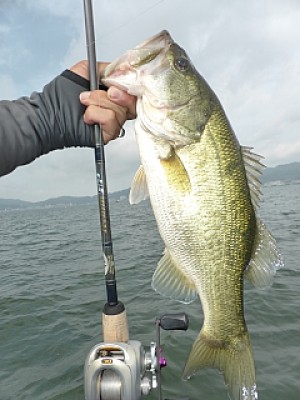 truth news ブログ写真 2013/07/07