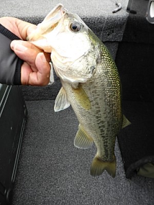 truth news ブログ写真 2013/07/07