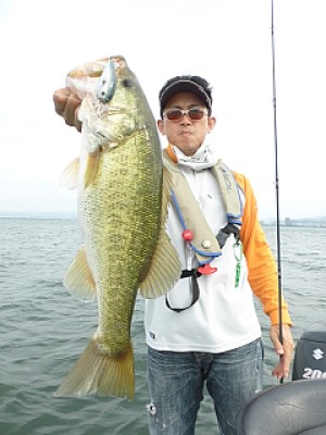 truth news ブログ写真 2013/07/07