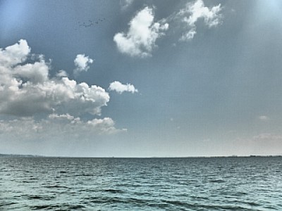 truth news ブログ写真 2013/07/09