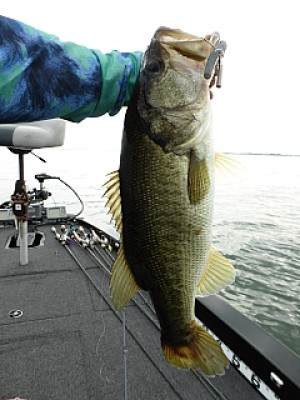 truth news ブログ写真 2013/07/09