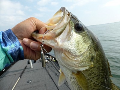 truth news ブログ写真 2013/07/09