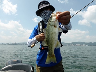 truth news ブログ写真 2013/07/09