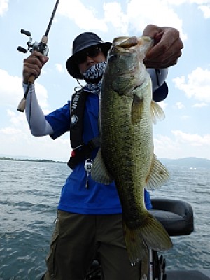 truth news ブログ写真 2013/07/09