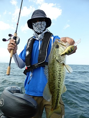 truth news ブログ写真 2013/07/09