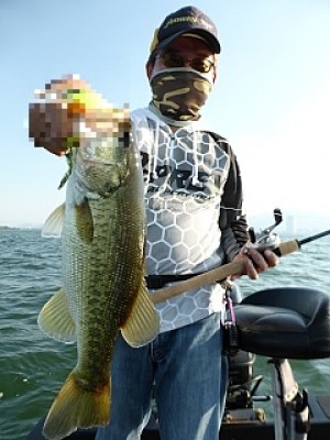 truth news ブログ写真 2013/07/10