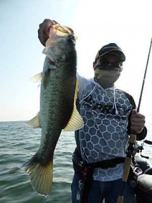 truth news ブログ写真 2013/07/10