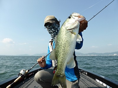 truth news ブログ写真 2013/07/10