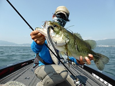 truth news ブログ写真 2013/07/10