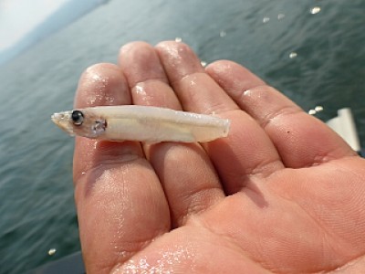 truth news ブログ写真 2013/07/10