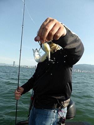 truth news ブログ写真 2013/07/10