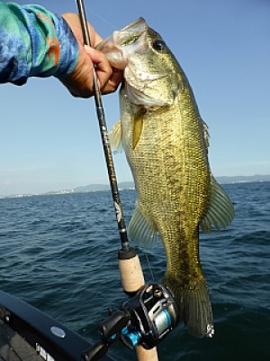 truth news ブログ写真 2013/07/10