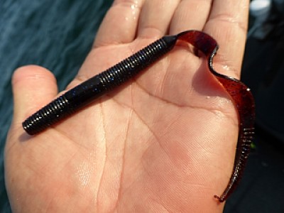 truth news ブログ写真 2013/07/10