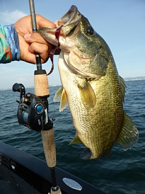 truth news ブログ写真 2013/07/10