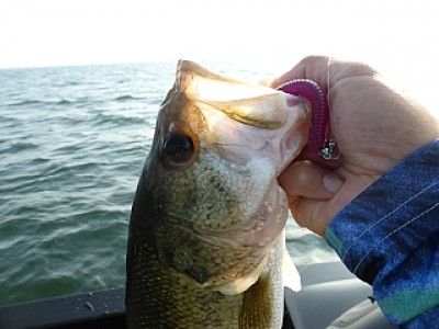 truth news ブログ写真 2013/07/10