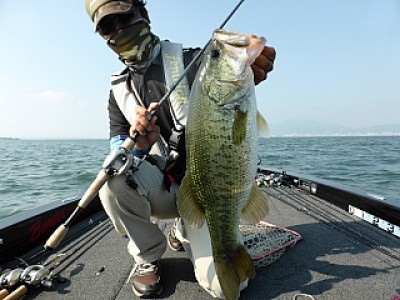 truth news ブログ写真 2013/07/10