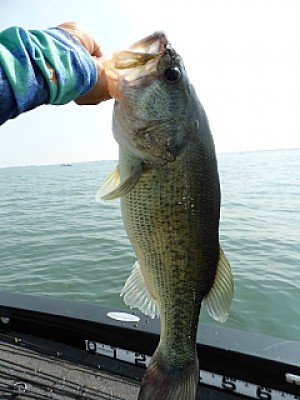 truth news ブログ写真 2013/07/10